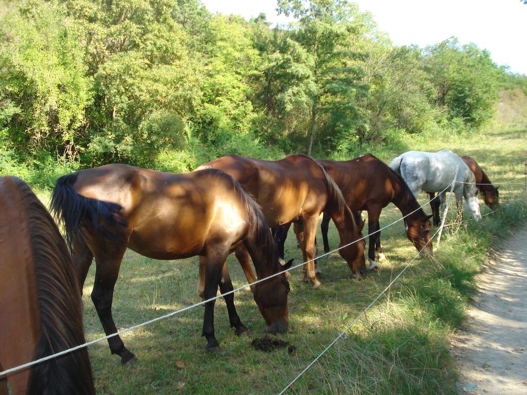 Rio Verde Costacciaro Buitenkant foto